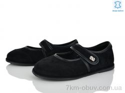 Loretta Y070 фото