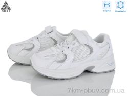 STILLI KIDS TQ50-3 шкіра фото