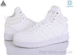 STILLI Group HB840-3 шкіра фото