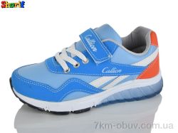 Sharif M137-1 фото