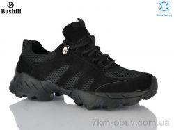 Башили H6570-2 фото