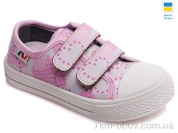 Prime-Opt Weestep FW-R107850265-WS фото