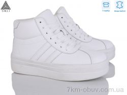 STILLI Group WA160-2 шкіра фото