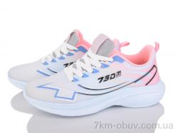 Lion-Lu B0051-3 фото