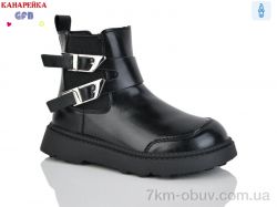 GFB-Канарейка S250-1 фото