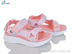 BBT L852-2-2 фото