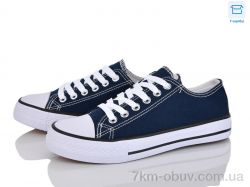 Vasyl B113-1 фото