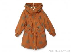 Kids-modnik 8-2 коричневий фото