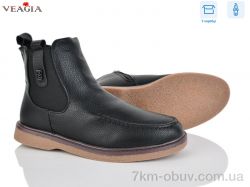 Veagia-ADA D66-1 фото