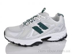 Moli B8010-3 фото