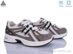 STILLI Group N350-10 шкіра фото