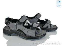 KIMBOO T63-4D фото