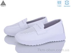 STILLI Group P60-1 шкіра фото