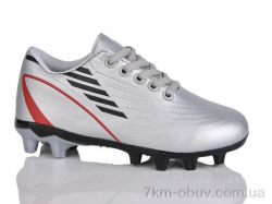 ASHIGULI C25-2 (31-36) фото