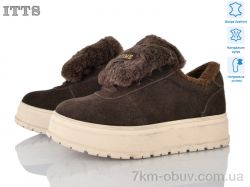 ITTS H2029-2 фото