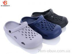 SCARRHETT 860 mix фото