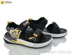 Clibee ZC2311-2 black-yellow фото