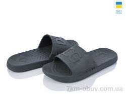 Golden Lion 131 зелений фото