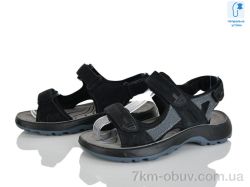 KIMBOO T65-4D фото