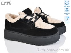 ITTS H2025-1 фото