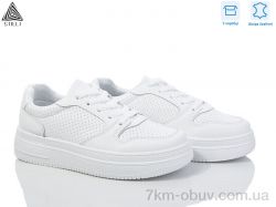 STILLI Group BB360 шкіра фото