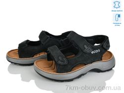 KIMBOO T61-3A фото