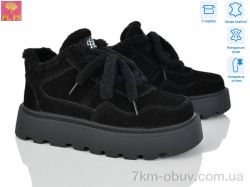 PLPS 2809-2 фото