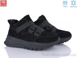 PLPS S656-2 фото