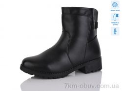 Коронате H558 фото