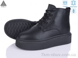 STILLI Group E180-5 шкіра фото