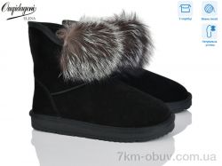 Dageni A1801-16 фото