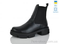 Carolina AP133-7 фото