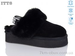 ITTS A1701-1 фото