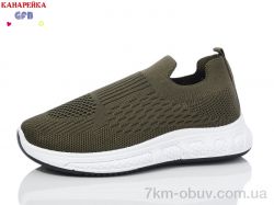 GFB-Канарейка X8026-4 фото