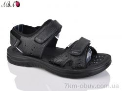 Aba SL116-1 фото