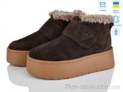 Stella Y17 кор.з. фото