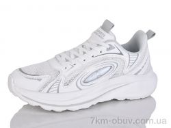 Ditof A0069-1 фото