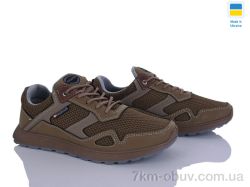 Paolla S2 койот фото