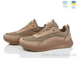 Paolla 2603 коричневий фото