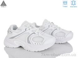 STILLI Group T30-1 шкіра фото