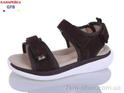 GFB-Канарейка B8006-2 фото