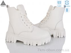 STILLI Group TM660-2 шкіра фото