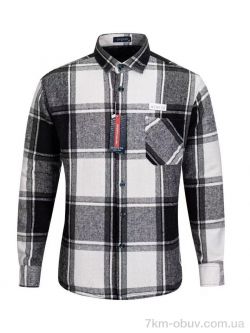 Verton W2504 grey фото