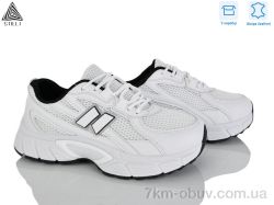 STILLI Group NK160-2 шкіра фото