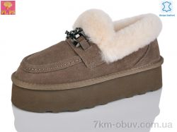 PLPS 5808 brown фото