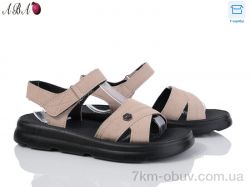 Aba LQ1ABA-6 фото