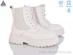 STILLI Group MD60-2 шкіра фото