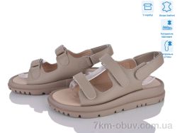 Захар-Gold 036-2 фото