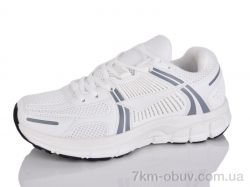 Moli B8029-2 фото