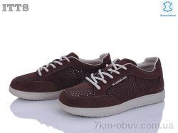 ITTS P01-4 фото
